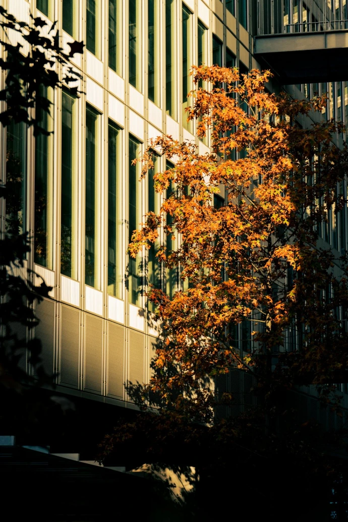 a tree in front of a tall building